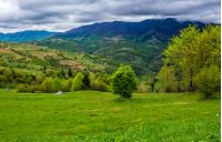 rural area in the beautiful valley. vivid Carpathian Countryside landscape