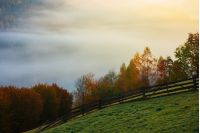 rural area in mountains at foggy sunrise. wonderful autumn scenery. wooden fence along the grassy hill side meadow