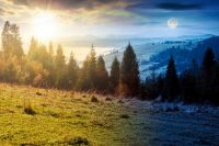 rural area in mountains on autumn equinox. day and night time change concept. wonderful highland with sun and moon at twilight observed from the hillside. meadows on rolling hills near spruce forest