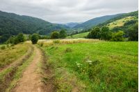 path through meadow  on hillside in mountainous rural area