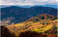 rural fields on hills among the forest in autumn. beautiful mountainous countryside landscape
