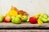 rural harvest in autumn. fruits on wooden background. fresh pears and ripe apples with yellow leaves laying on the board. rustic organic still life composition