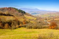 rural landscape in autumn. trees on rolling hills. scenic view of transcarpathia countryside in fall season. scenery on a sunny day with blue sky