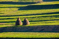 rural landscape in mountains under blue sky. agriculture nature in early spring. haystack on green hill. scenic countryside. green environment sustainability and protection. background for earth day