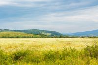rural landscape with field and mountain in summer. bright bloom. green nature outdoor with grass and hill. countryside scenery for travel with cloud on sky. tourism background with beautiful view