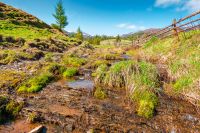 rural scenery in carpathian mountains of ukraine. simple view of a countryside mountain landscape during sunny forenoon in springtime. brook near the grassy hills. peaceful vacation in highland