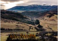 rural valley at the foot of snowy mountain. hills with weathered grass and trees with yellow foliage