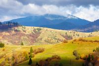scenic carpathian mountain landscape in autumn. alpine countryside with forest and meadow on the rolling hills. beautiful outdoor scenery of ukraine for travel in fall season on a sunny day