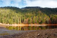 scenic landscape by the lake in autumn forest. beautiful scenery of synevyr national park in fall season. colorful environment reflection in the alpine pond. outdoor adventure in carpathian woods