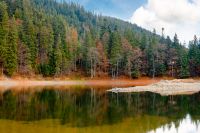 scenic landscape by the lake in autumn forest. beautiful scenery of synevyr national park in fall season. colorful environment reflection in the alpine pond. outdoor adventure in carpathian woods