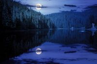 scenic landscape with lake among coniferous forest at night. green environment in the heart of a spooky park in full moon glowing light