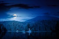 scenic landscape with lake among coniferous forest at night. tranquil reflection of primeval woodland in mountains in full moon light