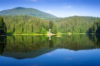 scenic landscape with lake among coniferous forest. air freshness of exquisite alpine scenery at the lakeside. peaceful sunny morning in summer with blue sky