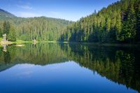 scenic landscape with lake among coniferous forest. green environment in the heart of synevyr national park. peaceful sunny morning in summer with blue sky