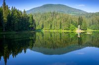 scenic landscape with lake among coniferous forest. tranquil reflection of primeval carpathian woodland in mountains of ukraine. peaceful sunny morning in summer with blue sky