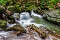 small cascades on the forest river among huge bouders covered with moss