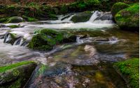 small cascades on the forest stream among huge boulders covered with moss. dreamy Carpathian landscape