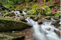 small cascades on the forest river among huge bouders covered with moss. taken with long exposure