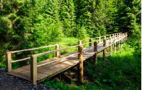 small wooden bridge among the forest. lovely nature scenery in summertime. location Synevyr National Park, Ukraine
