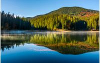 smokey lake reflect forest mountain and blue sky. orange foliage float on water surface among fog and ripples complementing gorgeous landscape composition