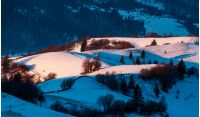 snowy forested hills in morning light. beautiful nature scenery in winter