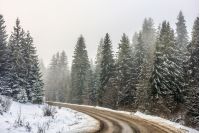 winter mountain landscape. winding road that leads into the spruce forest covered with snow