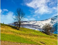 carpathian mountain peaks in snow above green rural meadow in spring season
