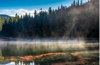 spruce forest on the bank of boiling lake at sunrise in autumn