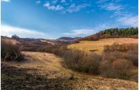 spruce forest on top of a hill in springtime. slopes without grass and plants without leaves. early beginning of a warm seasone