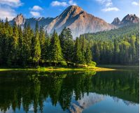 composite summer landscape with spruce trees among tall grass on the shore of a clear lake at the foot of epic high Tatra mountain ridge with rocky peaks under blue sky with clouds