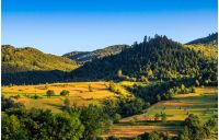 agricultural field on a hillside with haystacks on a green grassy meadow. beautiful summer morning in mountains. Carpathian rural area.