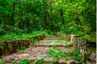 path with steps made ​​of stone among the trees in a city park is covered with foliage 