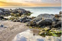 boulders, stones and seaweed on the rocky coast of the sea, on a cloudy morning