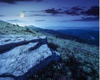 dandelions anmong white sharp stones on the hillside meadow on top of mountain range at night in full moon light