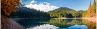 stunning panorama of mountain lake in autumn. Beautiful Scenery of high altitude Synevyr Lake among spruce forest, the most visited landmark in Ukrainian Carpathians.