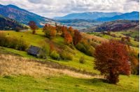 stunning rural landscape in mountains. woodshed and trees with red foliage on grassy hillside and a village in a far distance. gorgeous autumn scenery with ridge under cloudy sky