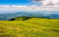 summer mountain landscape. green meadow on the top of Carpathian mountain ridge
