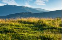 summer scenery of grassy field in mountains. mountain ridge with high peaks in the far distance. beautiful nature of Carpathians