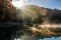 sun light in fog over the mountain lake Synevyr. high altitude lake among spruce forest on beautiful autumn morning. sunning nature scenery