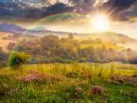 sunset over wonderful foggy mountain scenery. lovely summer landscape of countryside district. picture with purple thyme flowers on grassy field near forested rolling hill in mist under rainbow