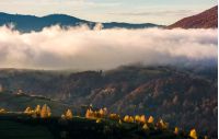 thick fog over the hill in autumn mountains. gorgeous nature scenery at sunrise