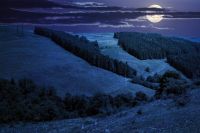tranquil countryside landscape with forest on the hill in summer at night. green environment with tree on mountain under blue sky for travel. rolling highland in full moon light