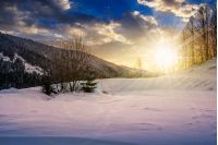 forest on a meadow full of snow in high mountains with snowy tops in evening light