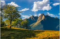 Composite image with trees on a grassy hill  in High Tatry Mountain ridge. wonderful summer landscape on a sunny day. Fine weather with blue sky and clouds