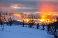 winter landscape. naked trees in red sunset light on the meadow in mountains
