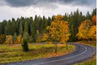 turnaround of the forest road. beautiful autumn nature scenery with cloudy sky