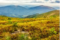 mountain landscape. valley with stones in grass on top of the hillside of mountain range