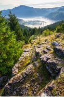 view from a rocky cliff to valley with conifer forest full of fog  in high mountains of Apuseni Natural Park in Romania