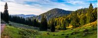 valley with forest in mountains of Romania. beautiful autumn sunrise