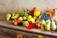 variety of ripe fruits on the wood. autumn harvest rustic composition. rural organic food in fall season. applicable as thanksgiving background